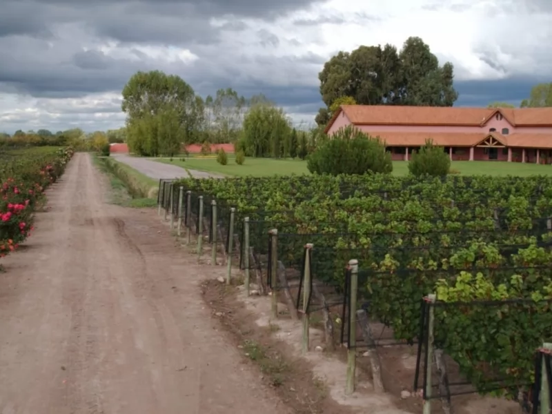 Fabre Montmayou winery