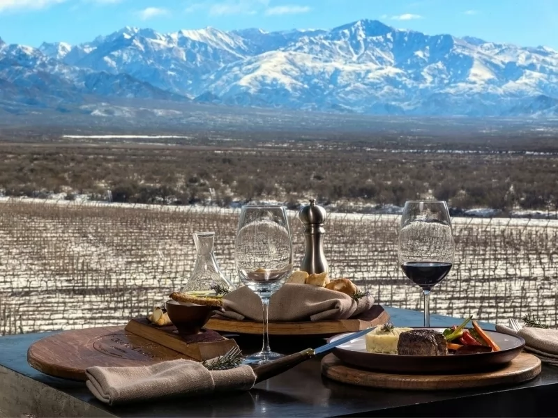 VISITING MENDOZA WINERIES