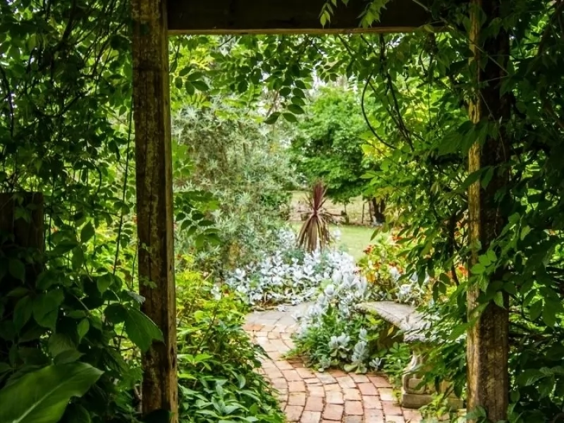 ARGENTINA - IGUAZU HUMMINGBIRD GARDEN