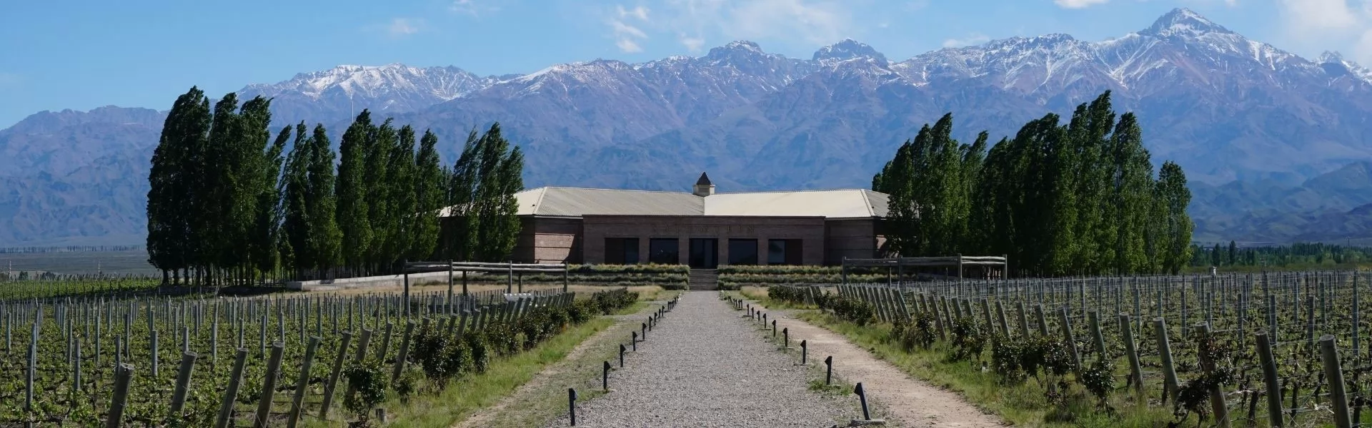 WINE TOUR IN MENDOZA